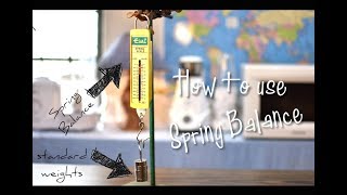 How to use a SPRING BALANCE  Basic Science  Physics Experiment [upl. by Leksehcey]