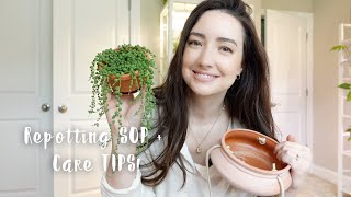 How to Repot String of Pearls plant  Care Tips  Chatty repot with me [upl. by Gnihc]