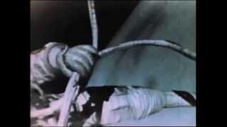 Aleksei Leonovs First Spacewalk [upl. by Hana]