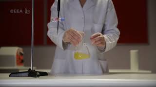 REDOX TITRATION IRON 2 WITH POTASSIUM PERMANGANATE [upl. by Nylemaj]