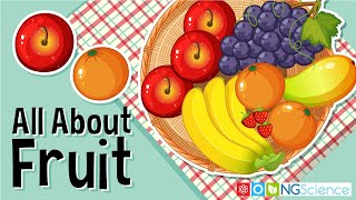 All About Fruit [upl. by Stannfield]