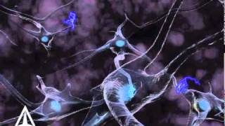 How Neurotransmission amp brain signals work  3D animation [upl. by Aikim596]