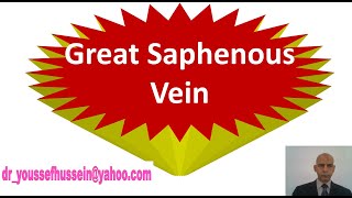 32 Great saphenous vein [upl. by Imled816]