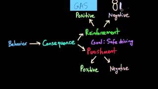 Operant Conditioning PositiveandNegative Reinforcement and Punishment [upl. by Nnaylloh56]