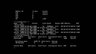 Restoring Connectivity in VMware ESXi [upl. by Shenan]