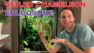 My Veiled Chameleon Enclosure  Check Out His Setup [upl. by Balas622]