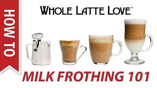 Milk Frothing for Beginners [upl. by Olrak405]