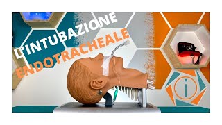 LINTUBAZIONE ENDOTRACHEALE  LE VIE AEREE  INFERMIERI online [upl. by Ybroc]