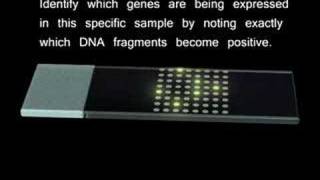 Microarrays [upl. by Nytsirt]