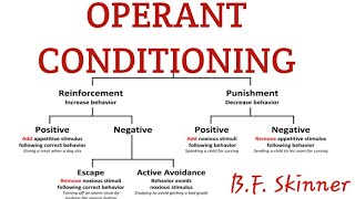 Operant conditioning in learning psychology [upl. by Doralynne]