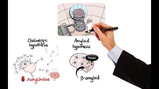 Dangers of Sudafed amp Meth [upl. by Gilcrest223]