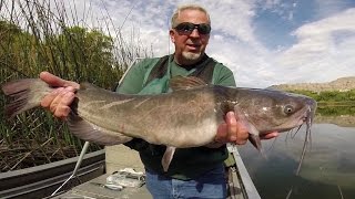 Channel Catfishing in Washington [upl. by Kinnard]