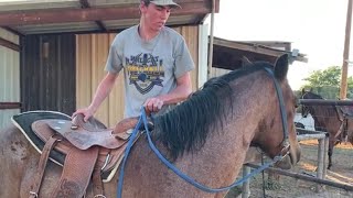 Horse Training  First Ride First Mount [upl. by Annez]