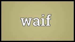 Waif Meaning [upl. by Caine]