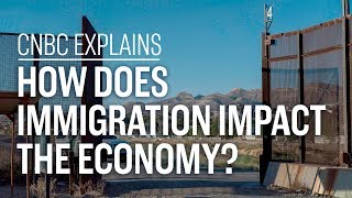 How does immigration impact the economy  CNBC Explains [upl. by Eelsha30]