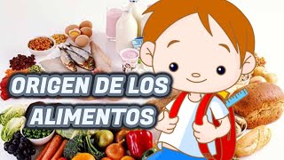 ORIGEN DE LOS ALIMENTOS ANIMALVEGETAL Y MINERAl [upl. by Lea]