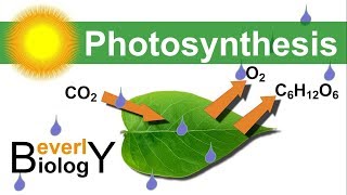 Chemiosmosis  Biochemistry [upl. by Pohsib]