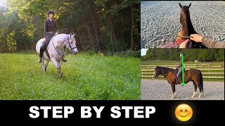 HOW TO RIDE A HORSE FOR BEGINNERS STEP BY STEP 🐎 [upl. by Abehs]