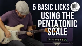 5 Basic Licks Using The Pentatonic Scale  Guitar Lesson [upl. by Eliathan999]