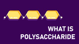 What are polysaccharides [upl. by Leuqim]