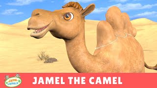 Jamel the Camel  Jamil and Jamila Songs for Kids [upl. by Salsbury372]