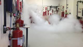 CO2 Fire Suppression System Discharge at Koorsen Training Center [upl. by Latvina350]