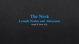 Neck US  Lymph Nodes and Abscesses [upl. by Mandy]