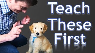 3 Easy Things to Teach your NEW PUPPY [upl. by Philemon]