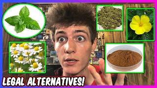 Best Legal Weed Alternatives 🌿 Smokable Herbs amp Herbal Smoke Blends [upl. by Amir]