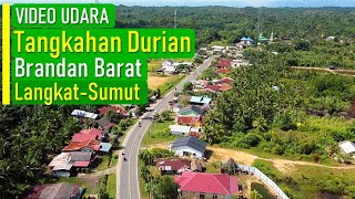 TANGKAHAN DURIAN BRANDAN BARAT LANGKAT [upl. by Anaes]