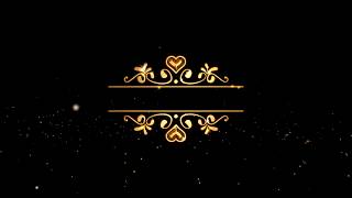 Wedding Intro Video Background Free  Border Gold Text [upl. by Nahsin835]