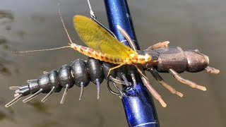 Slammin Smallies During The Mayfly Hatch [upl. by Bamberger144]