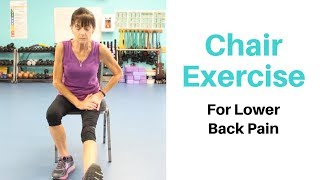 Essential Lower Back Exercises for Seniors [upl. by Haroppiz491]