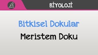 Bitkisel Dokular  Meristem Doku [upl. by Lemaceon]