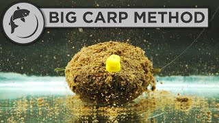 How To Fish The Method Feeder For BIG CARP [upl. by Hume]