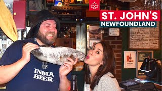 Newfoundland Travel Guide Best Things to Do in ST JOHNS [upl. by Telocin565]