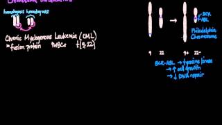 Chromosomal Translocations [upl. by Golda]