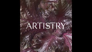 Meet the Artistry™ Brand  Skin Nutrition  Amway [upl. by Medardas53]