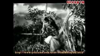 Lanchang Kuning 1962  Full Movie [upl. by Hanala]