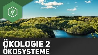 Ökosysteme  Ökologie 2 [upl. by Yenwat]