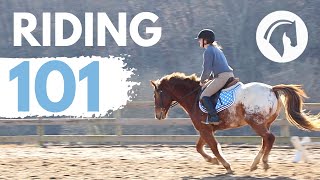 HOW TO RIDE A HORSE EASY BEGINNERS GUIDE [upl. by Anh387]