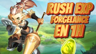 RUSH EXP DOFUS UNITY EN 1 HEURE  FORGELANCE [upl. by Ylil8]