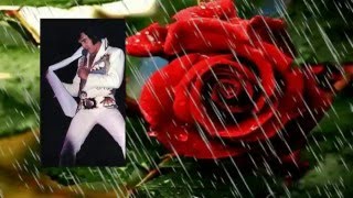 Elvis Presley  The Twelfth Of Never  rehearsal with lyrics [upl. by Palecek]