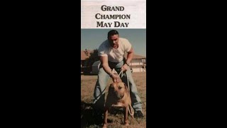 Victor Aycart  Article on Grand Champion Mayday [upl. by Bergstein]