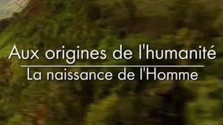 Aux origines de lhumanité  La naissance de lhomme 23 [upl. by Michigan]