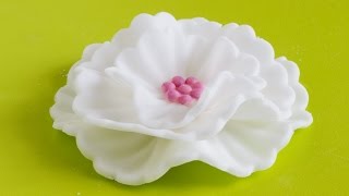 How to make Fondant Flowers  Cake Decorating Tutorial [upl. by Ynnig73]