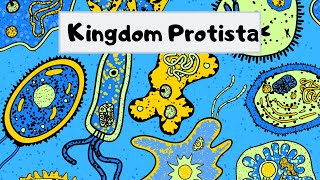 Kingdom of Protista [upl. by Hilleary614]