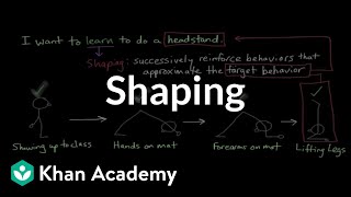 Operant conditioning Shaping  Behavior  MCAT  Khan Academy [upl. by Ayhay533]