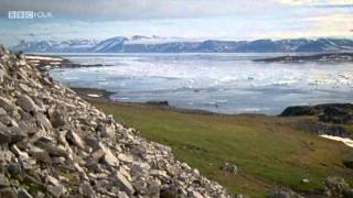 BBC Natures Microworlds Svalbard [upl. by Echikson850]