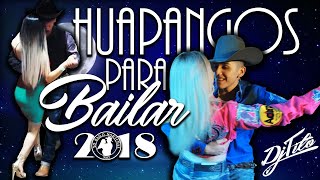 Los Mejores HUAPANGOS Para Bailar 2018 DjTito [upl. by Emmer358]